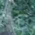 447350311442 Село Оселівка НА ОГОРОДІ ВАСИЛЬ СТЕПАНОВИЧ ОПЕРАТОР Я МИКОЛА ВАС ШАХРАЙ ВУЛИЦЯ КРУТА 76