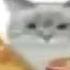 I Love This Music Ufr Papyrus Theme