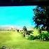 Shaun The Sheep Intro
