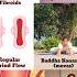 Cure PCOD PCOS Regular Period Flow Cure Piles Hemorrhoids Balance Hormones Naturally Yoga