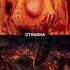 Yog Sothoth Vs Cthulhu Mythos