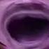 Preview 2 Weird Paul Taco Bell 2 Effects Preview 2 Funny 105 69 Effects