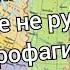 Русского языка не существует