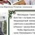 Волк Хан о Шамиле и Барятинском