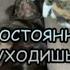Постоянно уходишь Приколы с животными говорящие животные юмор 2022 юмор с животными