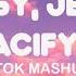 Jealousy Jealousy X Pacify Her Tiktok Mashup Lyrics