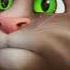 Talking Tom Merg Prin Ploaie Merg Prin Vânt 2021
