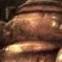 Mat 217 Alice Madness Returns 35 Caterpillar S Wisdom PC HD