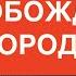 ЛЕГИОНЕРЫ С ТАНКАМИ И ХАМВИ ЗАШЛИ В БЕЛГОРОДСКУЮ ОБЛАСТЬ Освобождены сёла ВСУ не причём