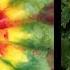 How To Ice Dye A Blooming Bouquet