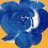 Without You Mistral Extended Mix