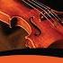Violin Concerto In D Major Op 35 I Allegro Moderato
