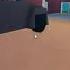 Roblox TAU Retro Your Doom