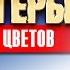 Вахтанг Кикабидзе Страна цветов Country Flowers Vakhtang Kikabidze