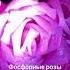 Флсфорнын розы Светятся в темноте