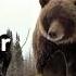 Filming Grizzly Bears Where No One Dared Before Filming Wildlife In 4K