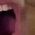 Silly Cats With Human Mouths