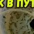 Африканский клариевый сом отправка на дальние расстояния