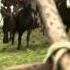 Amon Amarth Guardians Of Asgaard Vikings Series Videoclip