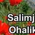 Salimjon G Iyosov Ohalik Klip 1 HD 720