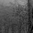 Enigma Sadeness Remix 2019