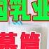 老王来了 揭露中国乳业 垃圾内幕篇 看完不要再喝牛奶 老王甄选 拿幸教 大老王 老王来了 王吉舟 真相揭秘 玄学 政治 经济 科技 移民