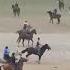 САРБОЗ ПОЛВОН Н СПИТАМЕН БО АСПИ СЕВЕР Silatj SHAHZODQD Buzkashi Tjk