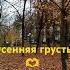 Ты не вспомнишь а мне не спать ночами осень2024 природа любовь разлука песнядлядуши
