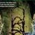 Jim Butcher 10 Best Books