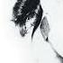 Brenda K Starr Love Me Like The First Time