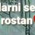 Soygi