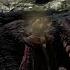 Dragon S Dogma Dark Arisen 20 Чародей Василиск троянский конь