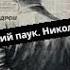 Златоустовский паук Николай Мозгляков