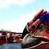 The Ultimate Breeding And Mutations Guide 2023 Ark Survival Evolved