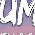 Marshmello Khalid Numb Lyrics