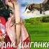 НАГАДАЙ ЦЫГАНКА МНЕ