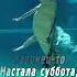 Доброго утра субботы Открытка