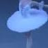 Maria Khoreva Raymonda Dream Scene Act 1
