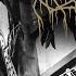 Wolves In The Throne Room LIVE At Fire In The Mountains 2022 I Will Lay Down My Bones