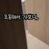 엄마 외출한 날 아빠몰래