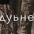 Чеченская песня2022 Сан безам хьо Сан дахар хьо