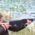 Ana Shooting AK 7 62 Saiga