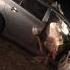 Camel In The Car By Accident Car Speed 200km H