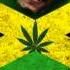 Ich Rauch Mein Ganja