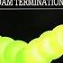 Rotterdam Termination Source Poing Original Mix