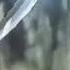 Gintoki Vs Takasugi Watch How I Move Amv