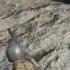 May 27 2017 PUBG