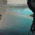 Под черным флагом Assassin S Creed IV Black Flag прохождение часть 12