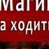 Центры магии салоны магии Кто там работает
