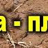 Самая лучшая почва глина